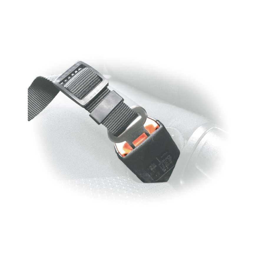 Ceinture de sécurité pour chien Accessoires animaux