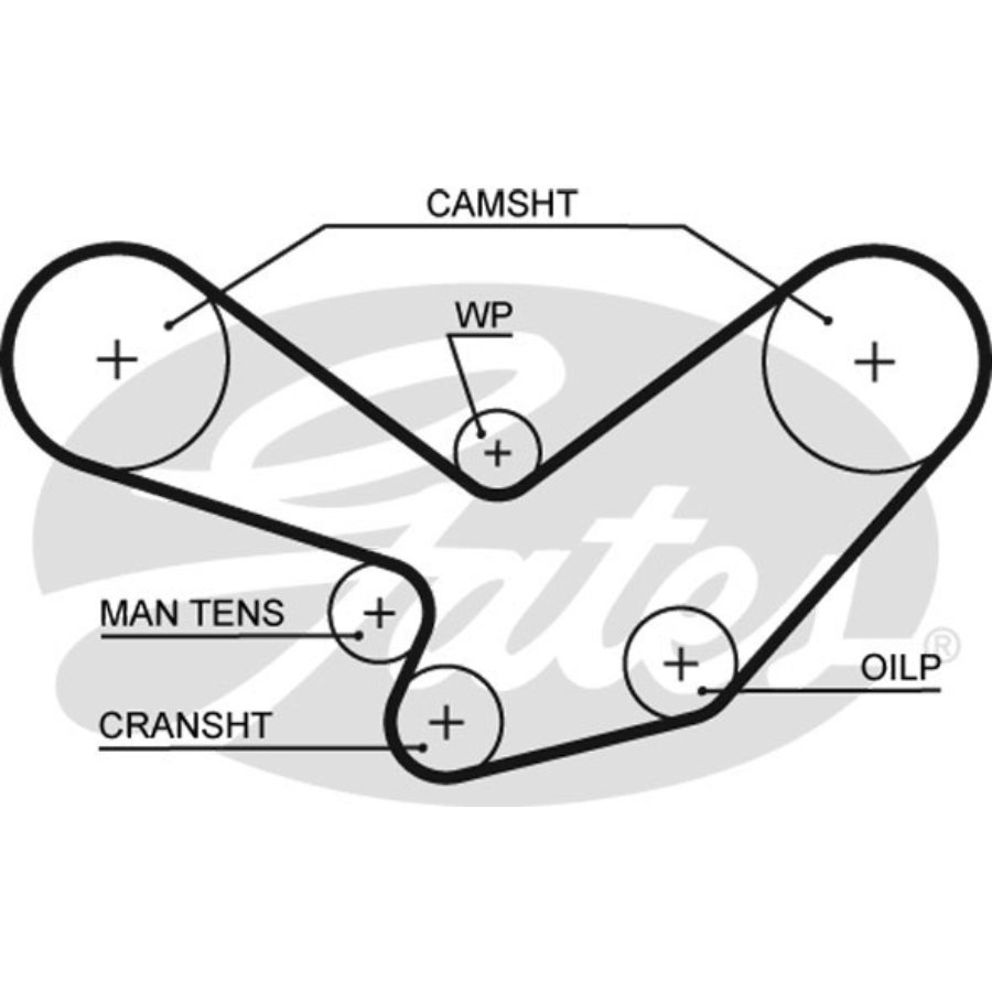 K015489XS GATES PowerGrip 5489XS Kit De Distribution G-Force