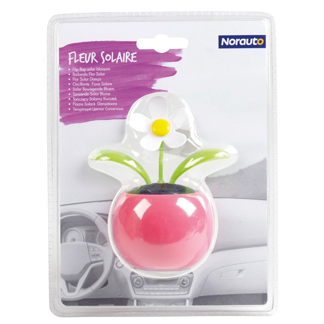 Fleur Solaire Dansante Rose Norauto Norauto Fr