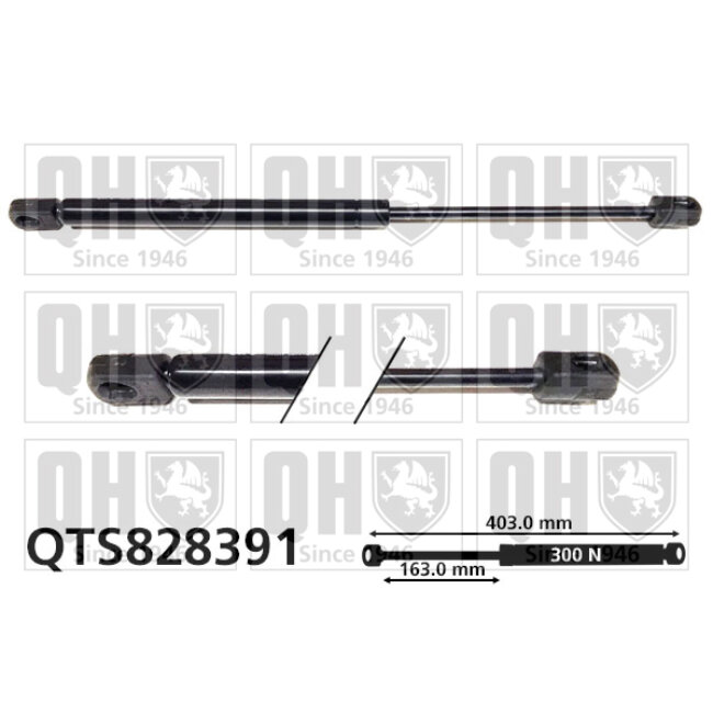 Vérin De Coffre Quinton Hazell Qts828391