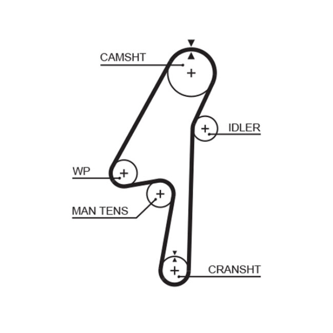 Courroie De Distribution Gates 5580xs