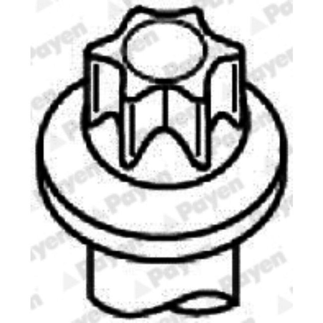 Jeu De Vis De Culasse Payen Hbs302