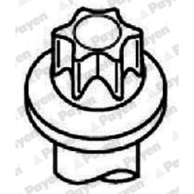 Jeu De Vis De Culasse Payen Hbs535