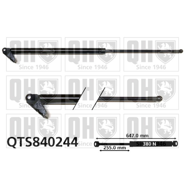 Vérin De Coffre Quinton Hazell Qts840244