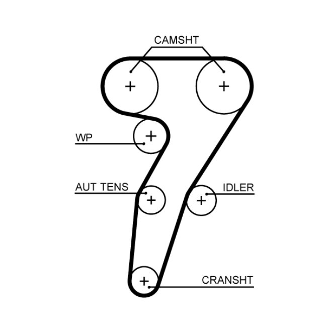 Courroie De Distribution Gates 5653xs