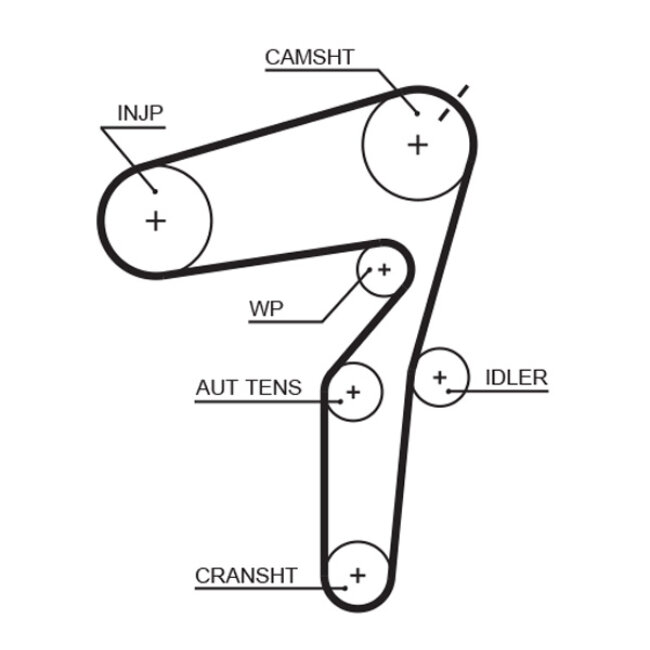 Courroie De Distribution Gates 5623xs
