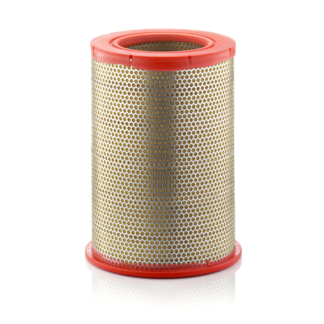 Filtre À Air Mann-filter C301359