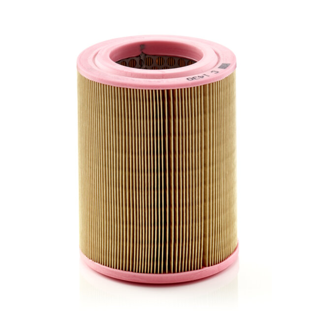 Filtre À Air Mann-filter