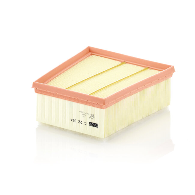 Filtre À Air Mann-filter C22014