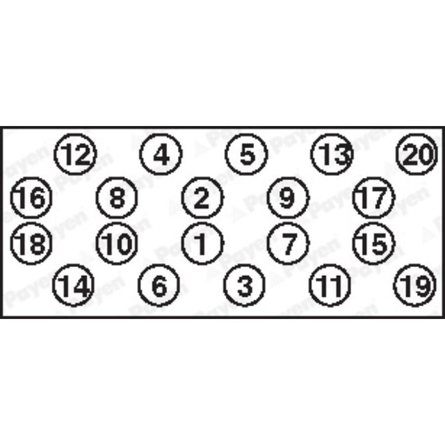 Jeu De Vis De Culasse Payen Hbs216
