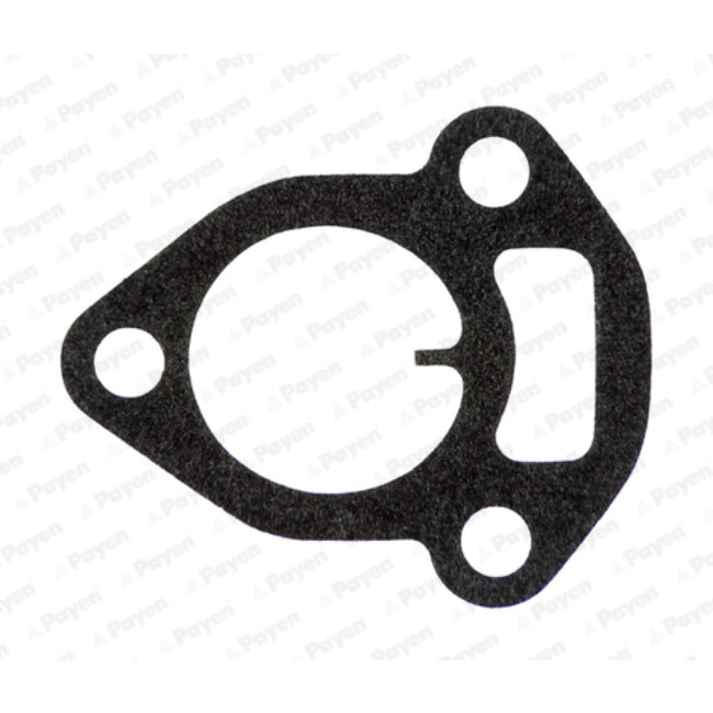 Joint D'étanchéité Collecteur D'admission Payen Jc140