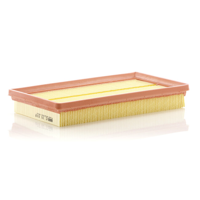 Filtre À Air Mann-filter