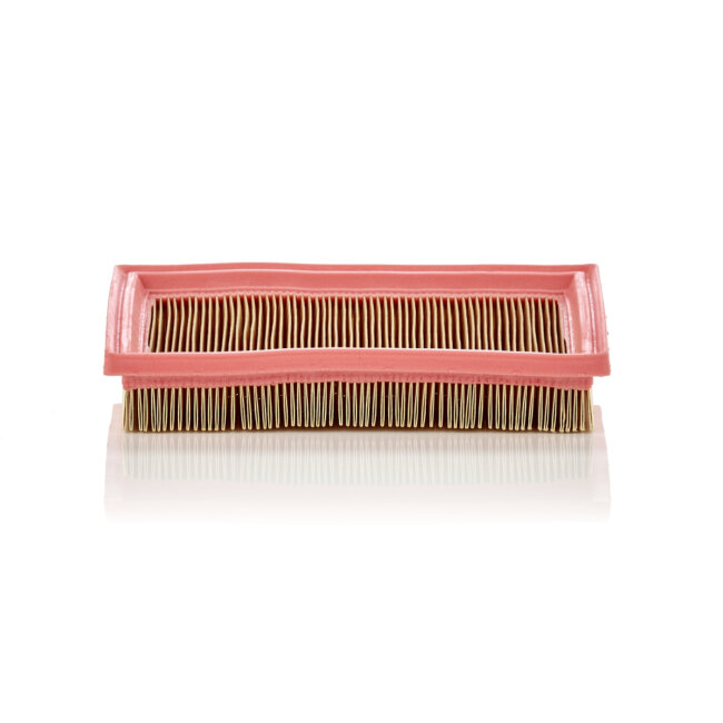 Filtre À Air Mann-filter