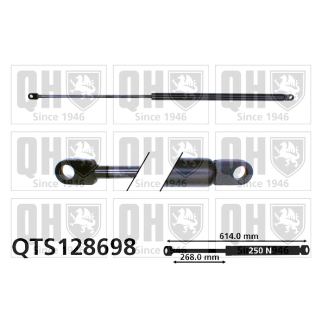 Vérin De Capot Quinton Hazell Qts128698