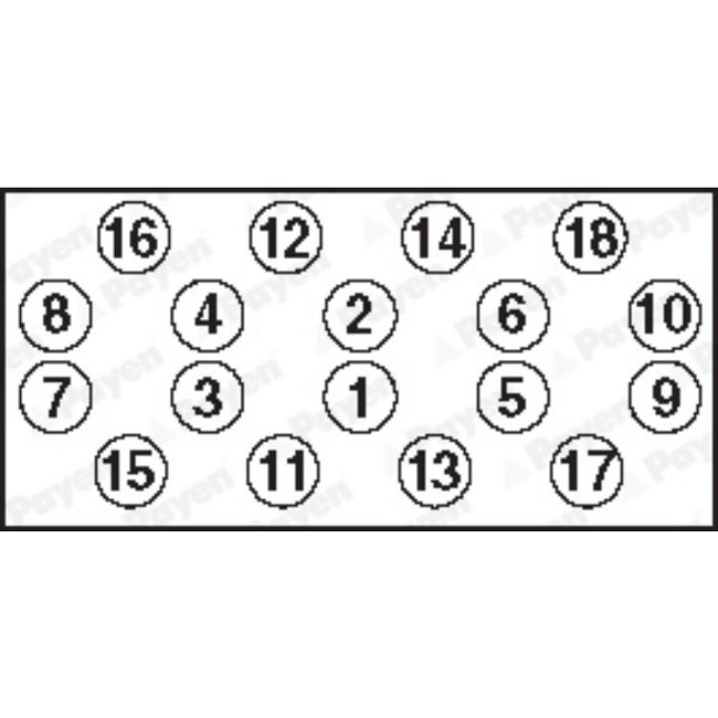 Jeu De Vis De Culasse Payen Hbs296