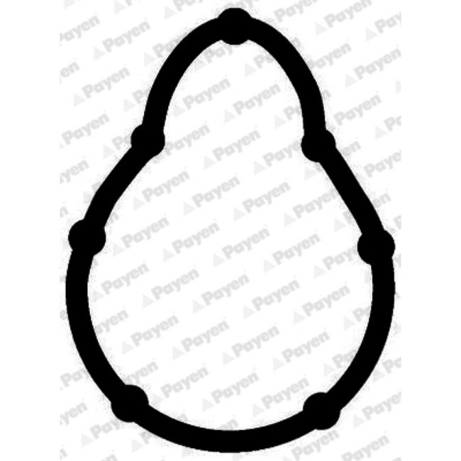 Joint D'étanchéité Collecteur D'admission Payen Jd5315