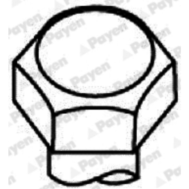 Jeu De Vis De Culasse Payen Hbs280