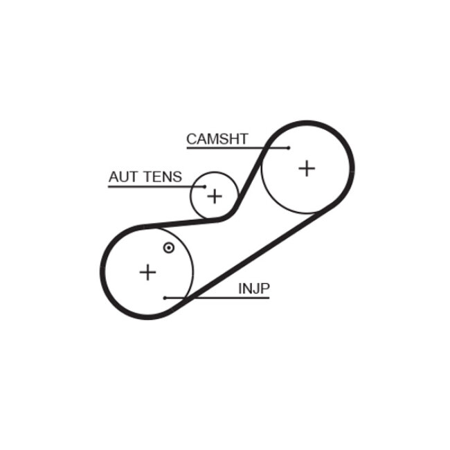 Courroie De Distribution Gates 5546xs