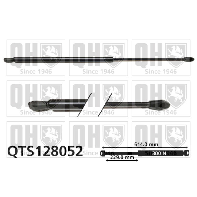 Vérin De Coffre Quinton Hazell Qts128052