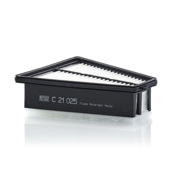 Filtre À Air Mann-filter C21025