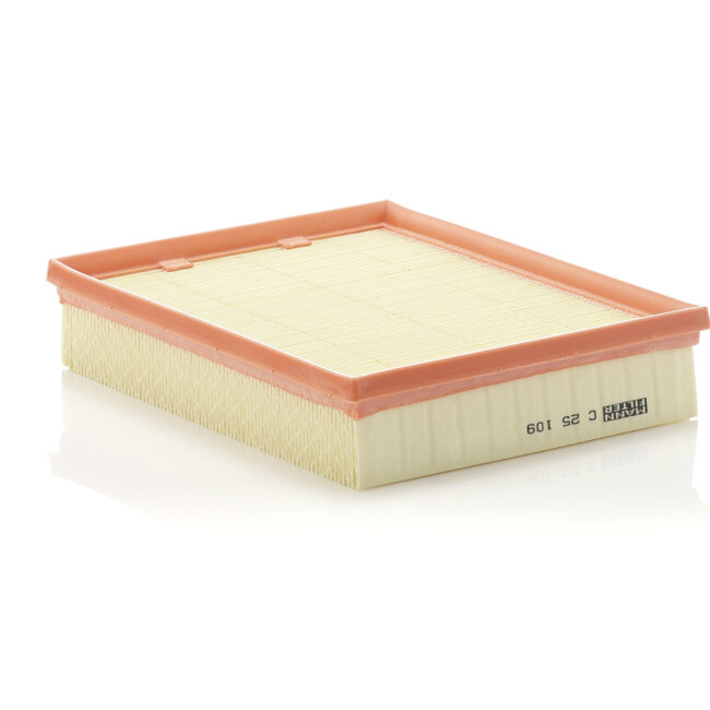 Filtre À Air Mann-filter