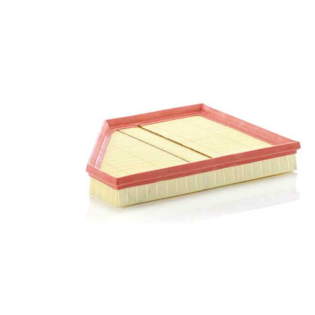 Filtre À Air Mann-filter