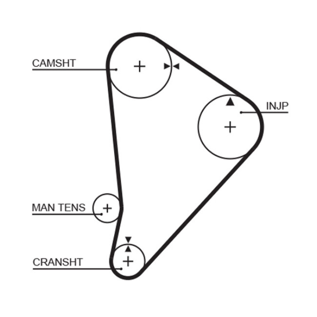 Courroie De Distribution Gates 5044