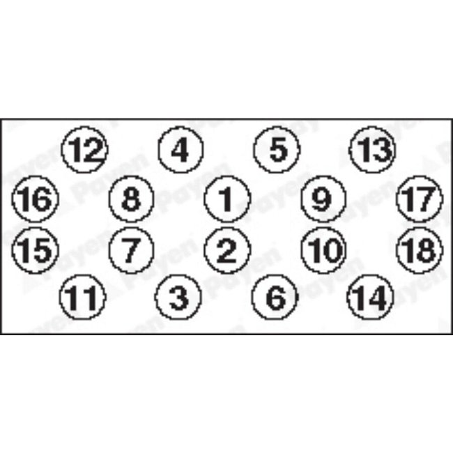 Jeu De Vis De Culasse Payen Hbs223