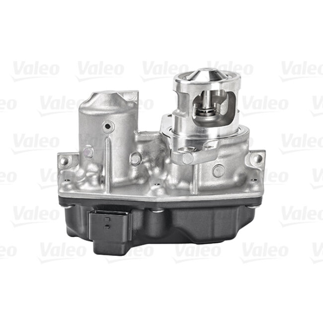 Vanne Egr Valeo 700449