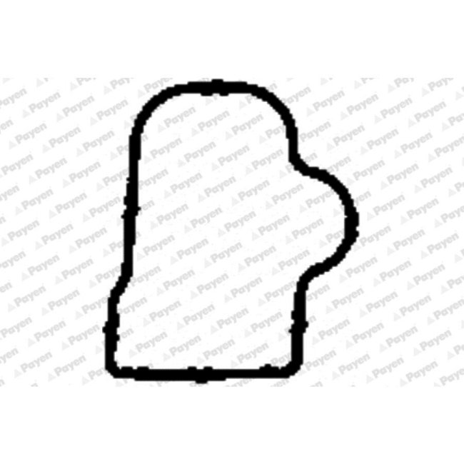 Joint D'étanchéité Collecteur D'admission Payen Jd5904