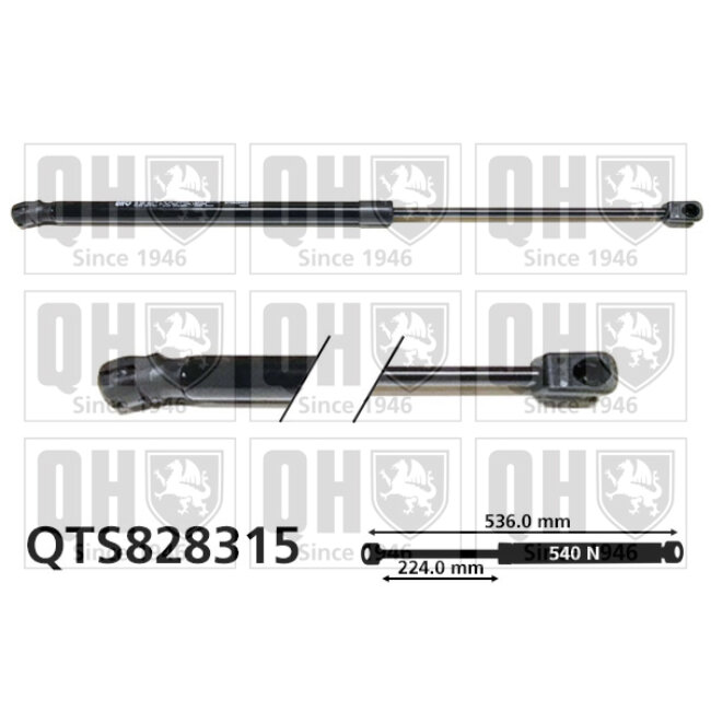 Vérin De Coffre Quinton Hazell Qts828315