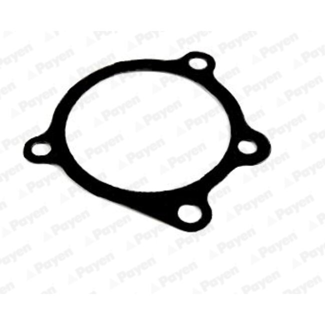 Pompe À Eau Payen Curty Ka289