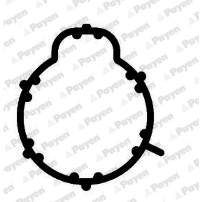 Joint D'étanchéité Collecteur D'admission Payen Jd5804