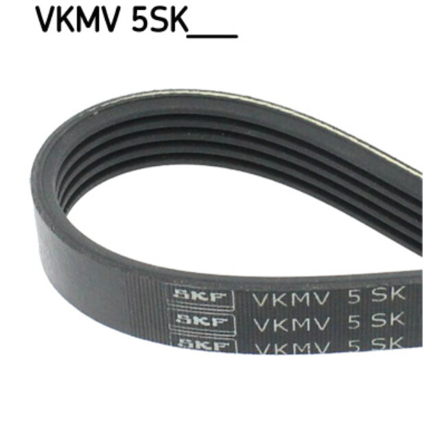 Courroie D'accessoires Skf Vkmv5sk690