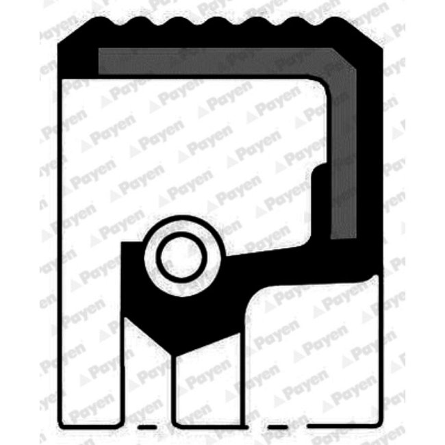 Bague D'étanchéité Arbre À Cames + Vilebrequin Payen Na5016