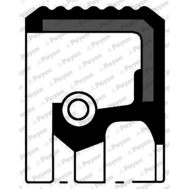 Bague D'étanchéité Arbre À Cames Payen Nf846