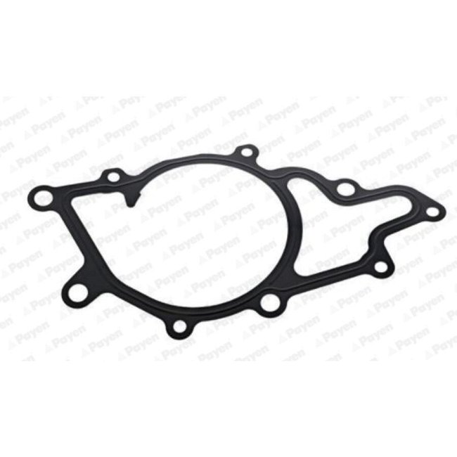 Pompe À Eau Payen Curty Ka5036