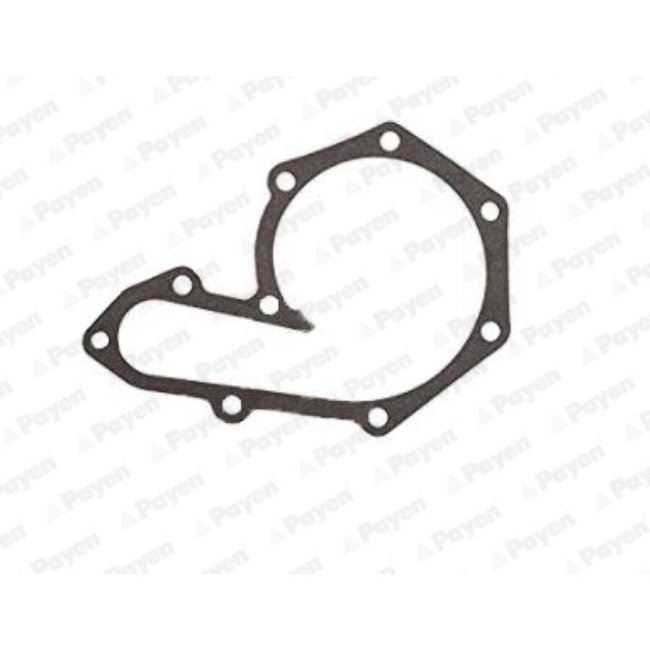 Pompe À Eau Payen Curty Ka625