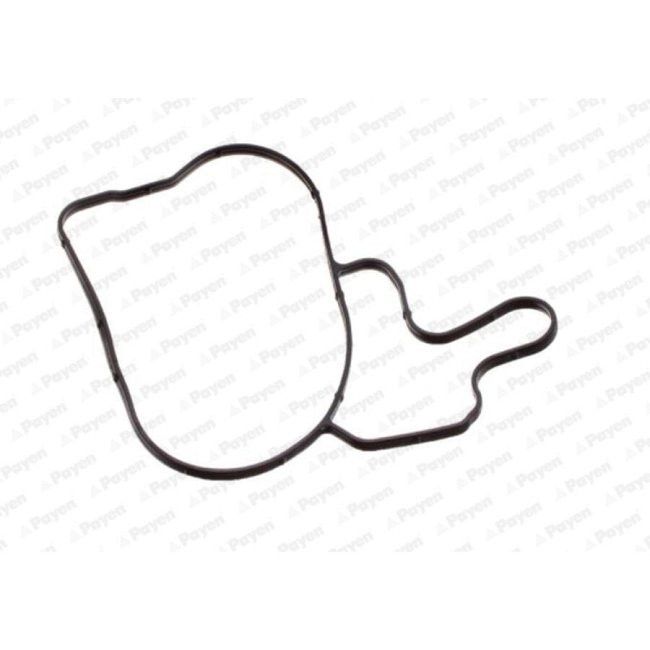 Pompe À Eau Payen Curty Ka5035