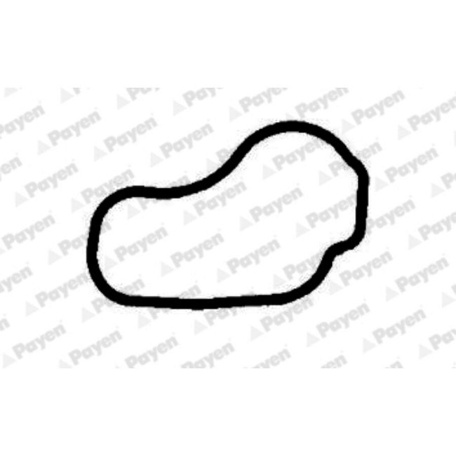 Joint D'étanchéité Collecteur D'admission Payen Jd5823