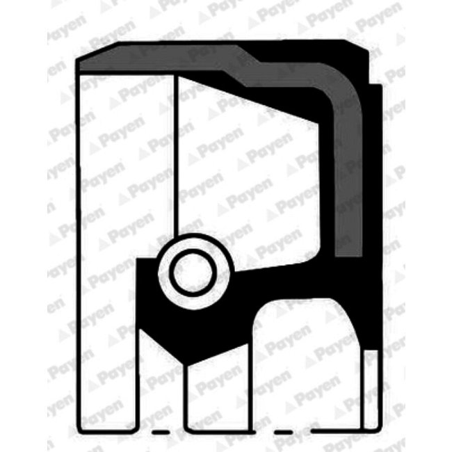 Bague D'étanchéité Vilebrequin Payen Nb815